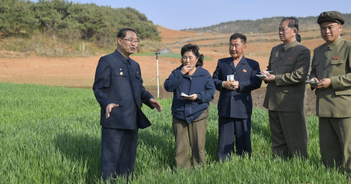 Hạn hán nghiêm trọng lan rộng, Triều Tiên huy động toàn quốc ứng phó