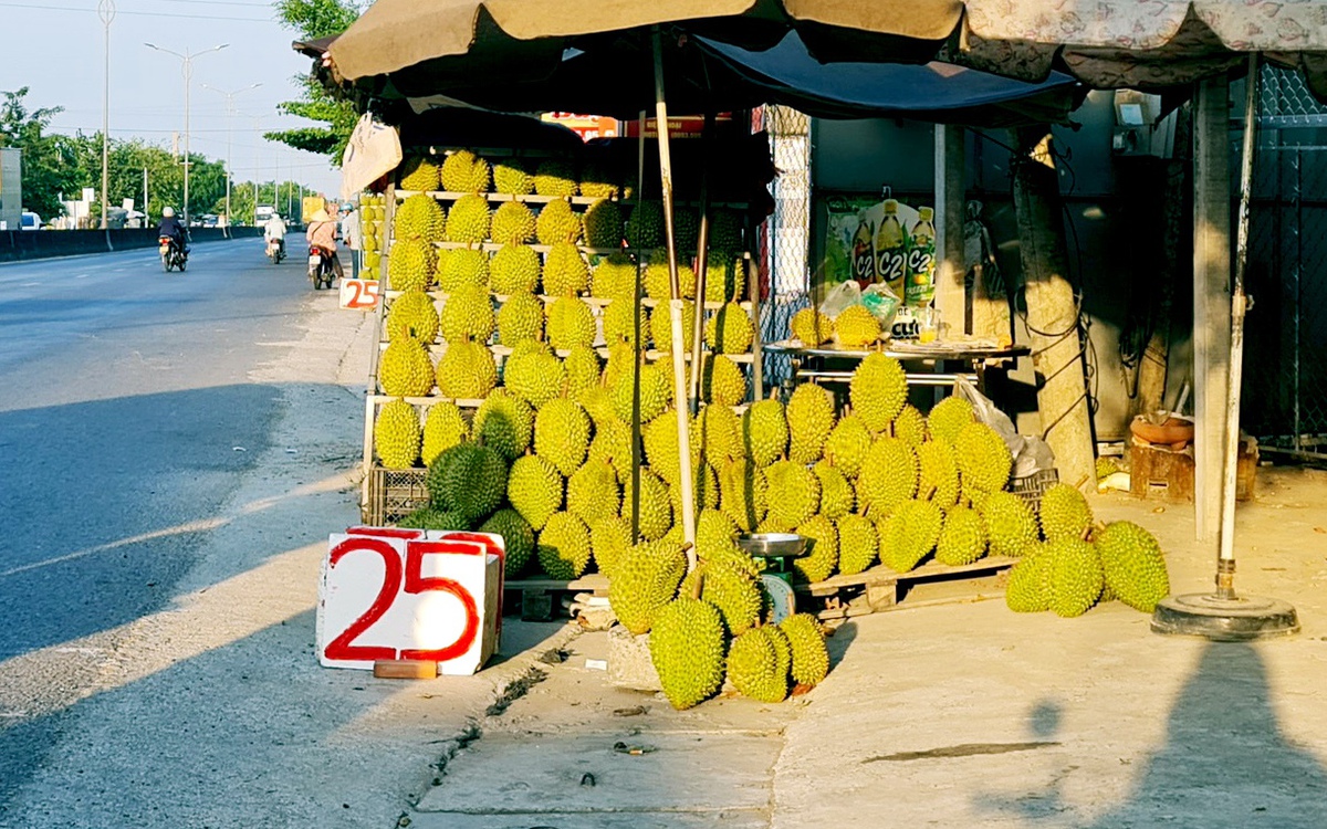 Sầu riêng rớt giá, bày bán đầy đường chỉ từ 25.000 đồng/kg
