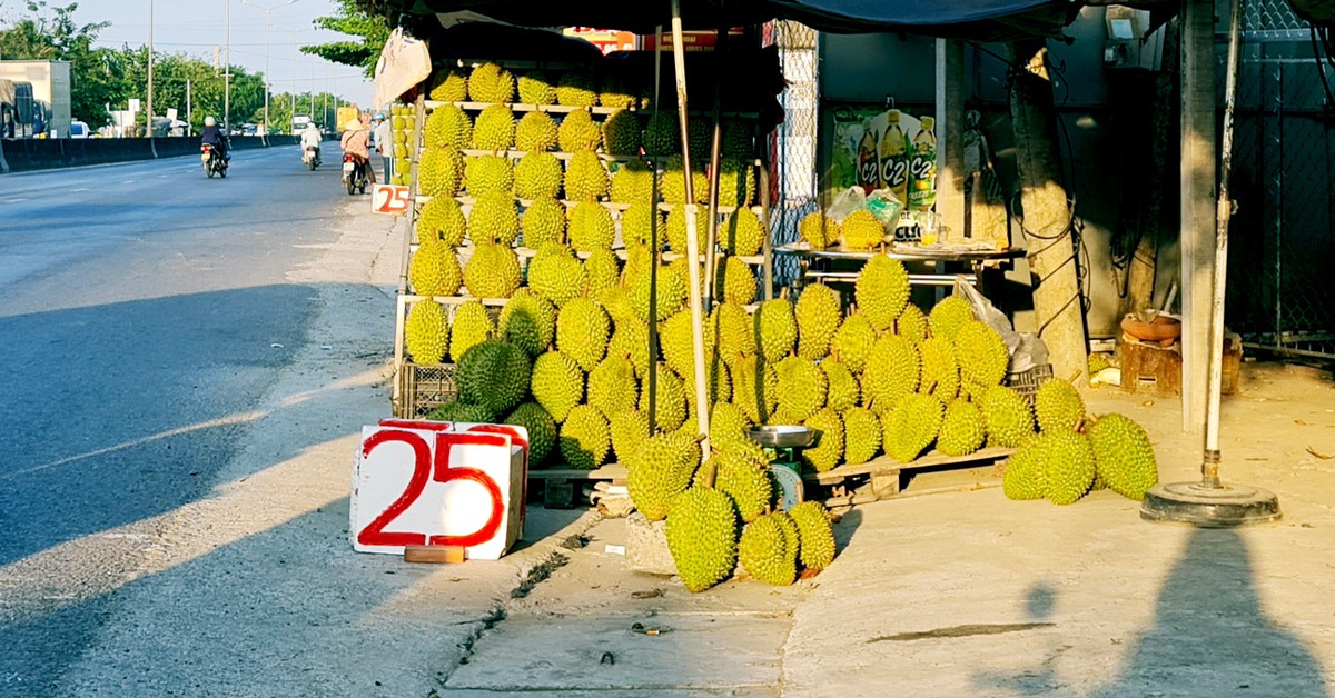Sầu riêng rớt giá, bày bán đầy đường chỉ từ 25.000 đồng/kg