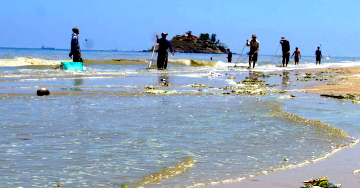 Nước biển ở Vũng Tàu đổi màu xanh, tím nghi do vi tảo