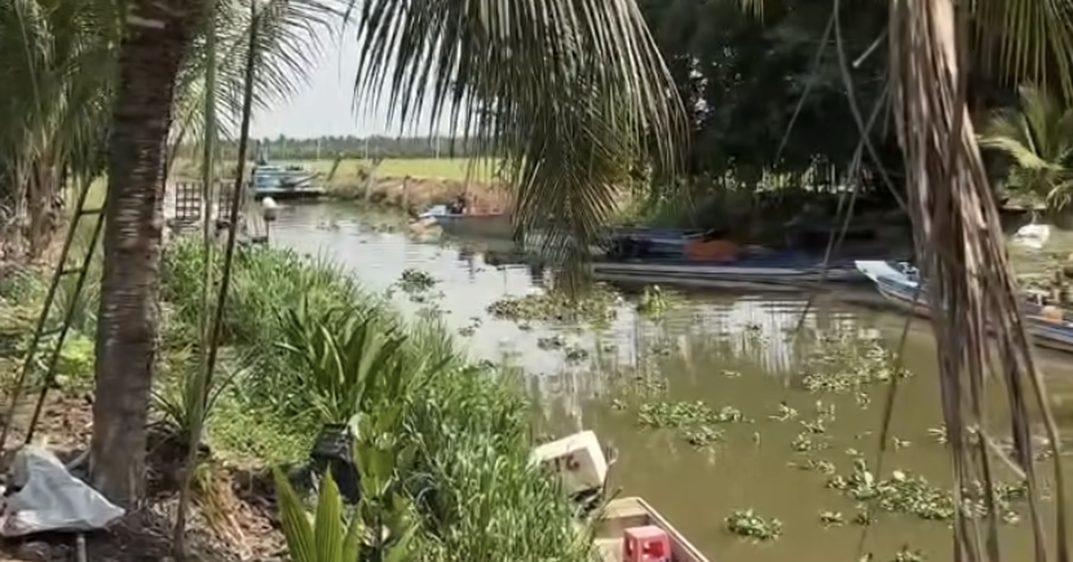 Người dân lại thấy cá sấu dưới kênh, chính quyền thông báo cảnh giác