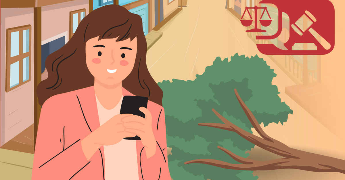 Cây người này trồng, trái nằm ở phía nhà kia, ai được hưởng hoa lợi?