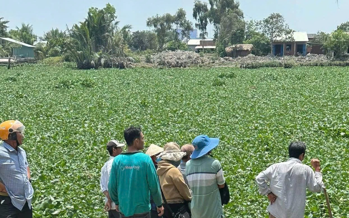 Tìm thấy thi thể hai cháu bé đuối nước trên sông Vàm Cỏ Tây sau hai ngày