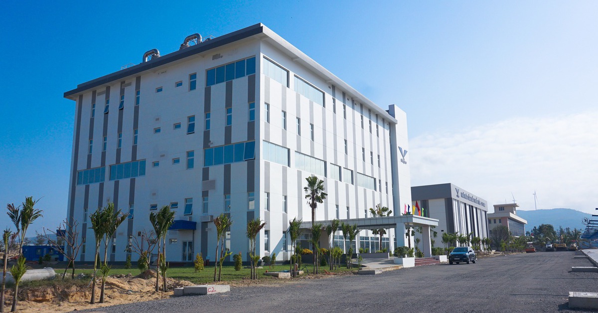 Gia Lai kiến nghị giữ lại vốn nhà nước tại Bidifar, phát triển thành thương hiệu quốc gia