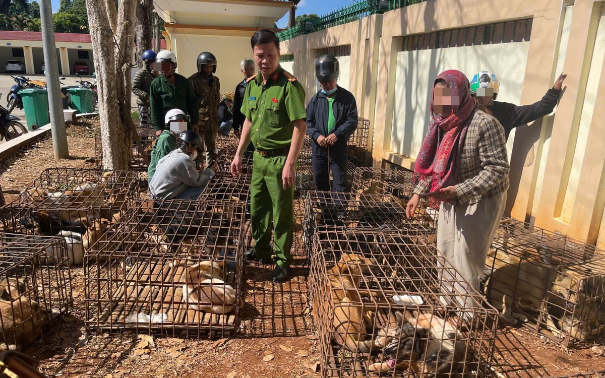 Khởi tố nhóm người trộm chó ở Đắk Lắk