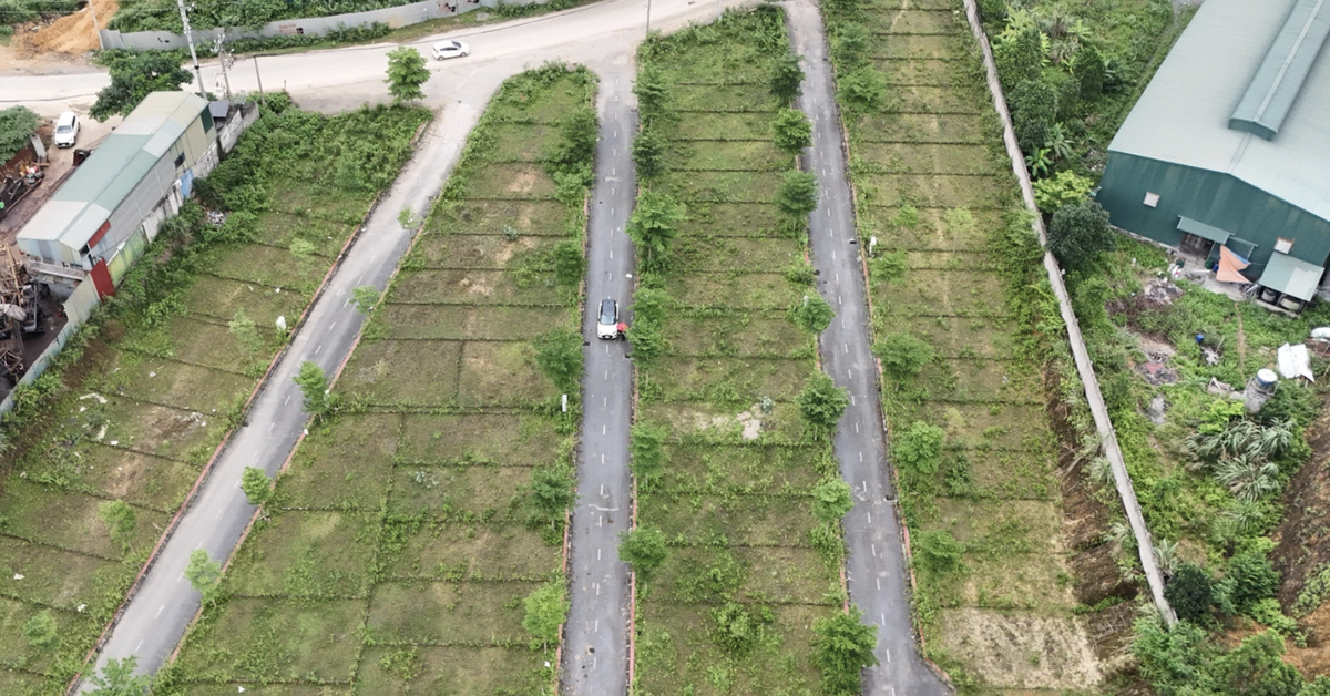 Mỗi một thửa đất chỉ có 1 mã định danh duy nhất, được mã hoá ra sao?