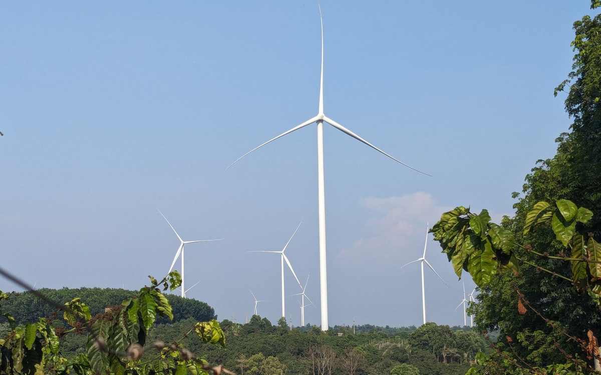15 dự án điện gió, điện mặt trời hưởng giá FIT tại Gia Lai được gỡ vướng
