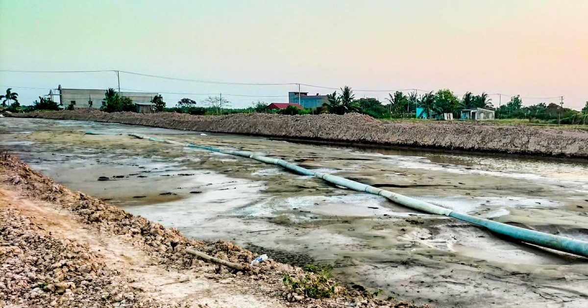 Gói thầu hơn 10 tỉ đồng đấu thầu chỉ tiết kiệm được 8 triệu: Kiến nghị xử phạt nhiều đơn vị