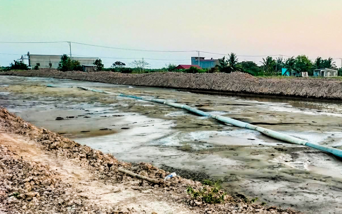 Gói thầu hơn 10 tỉ đồng đấu thầu chỉ tiết kiệm được 8 triệu: Kiến nghị xử phạt nhiều đơn vị