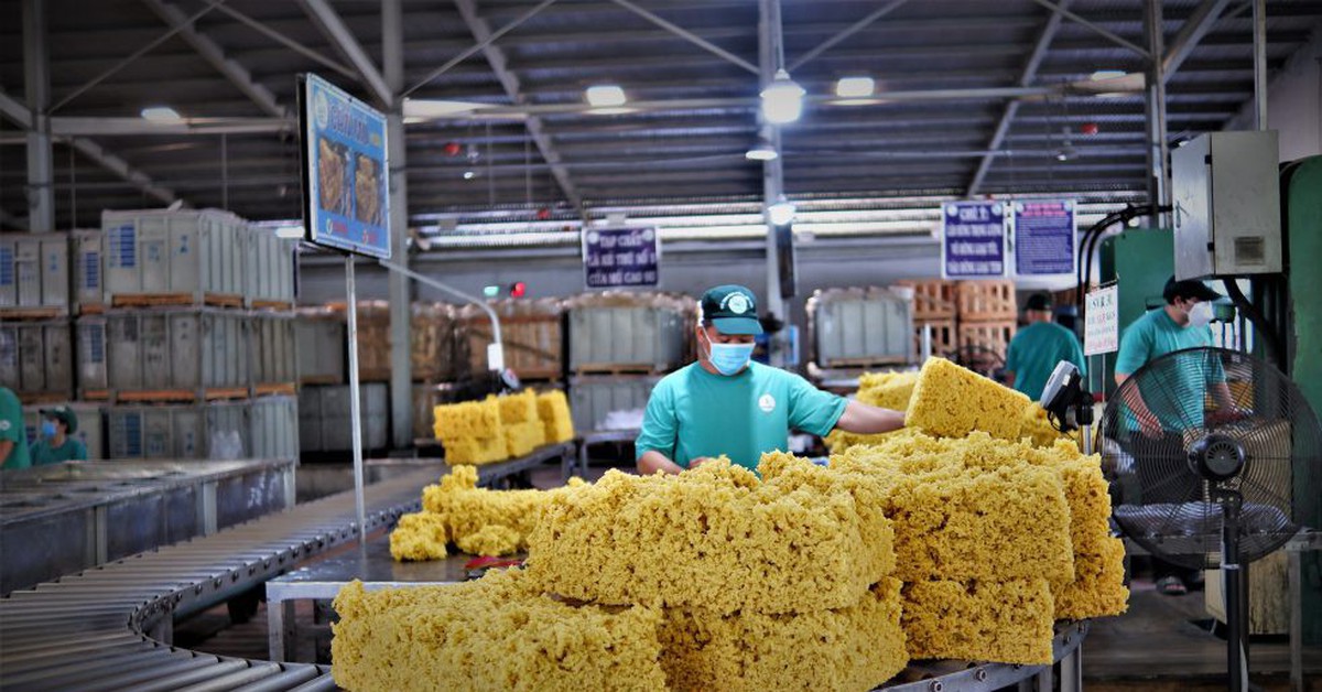 Tập đoàn Công nghiệp Cao su Việt Nam đặt mục tiêu năm 2030 doanh thu khoảng 50.000 tỷ đồng