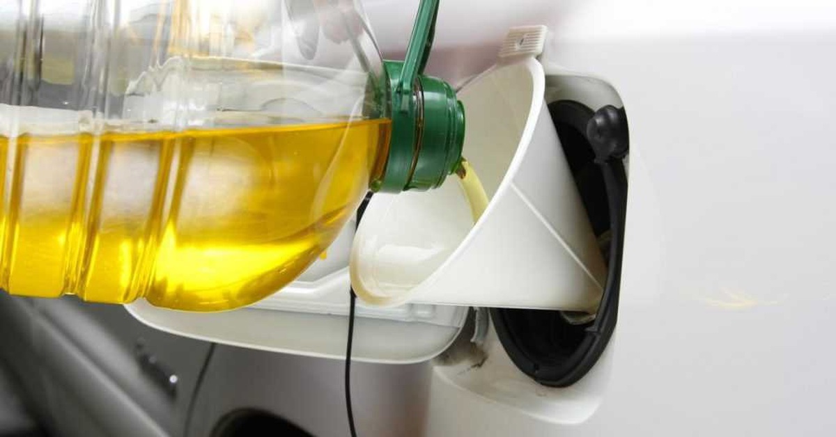 Rủi ro từ trào lưu sử dụng dầu ăn thay dầu diesel tại CH Czech
