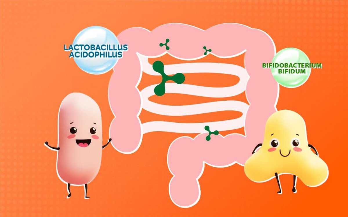 Lối sống lành mạnh bắt đầu từ việc chăm sóc hệ tiêu hoá