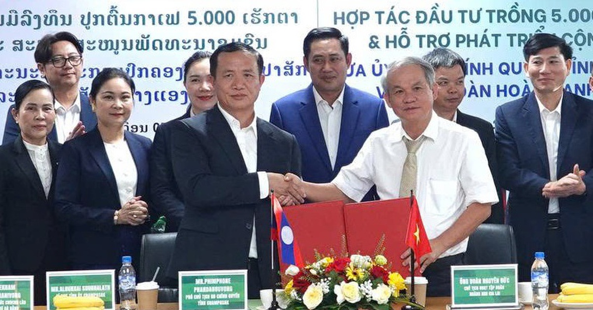 Hoàng Anh Gia Lai đầu tư 5.000ha cà phê tại Lào