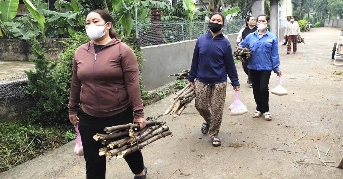 Xúc động chuyện chị em vùng quê góp gạo, góp củi lo hậu sự cho người nghèo