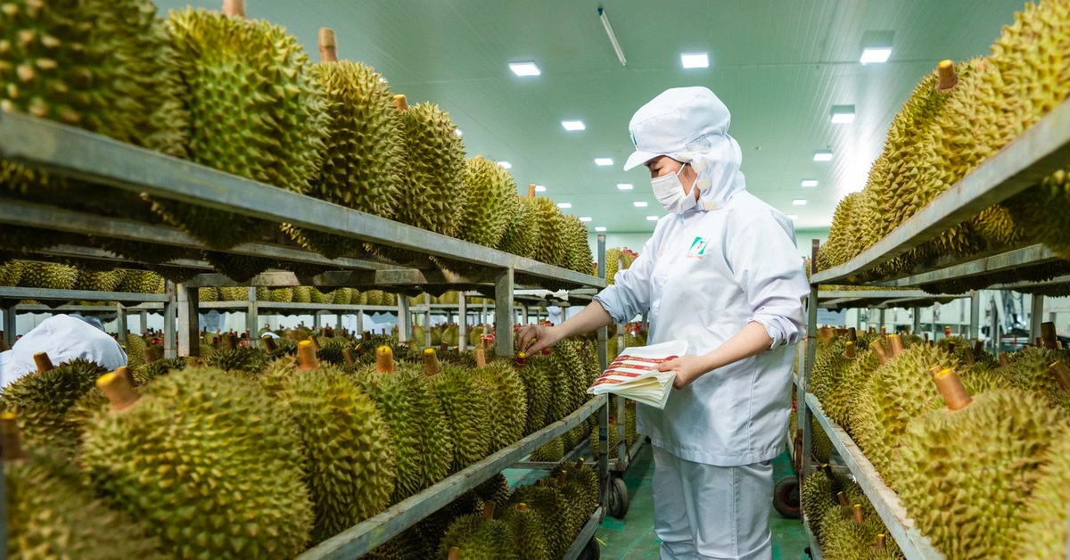 Danh sách mới nhất các phòng kiểm nghiệm Cadimi trong sầu riêng được Trung Quốc công nhận