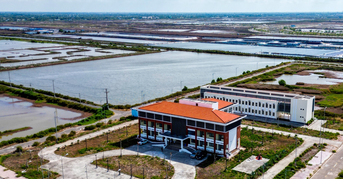 Cà Mau tìm cách ‘cứu’ khu tôm công nghệ cao 9 năm chưa đưa vào hoạt động