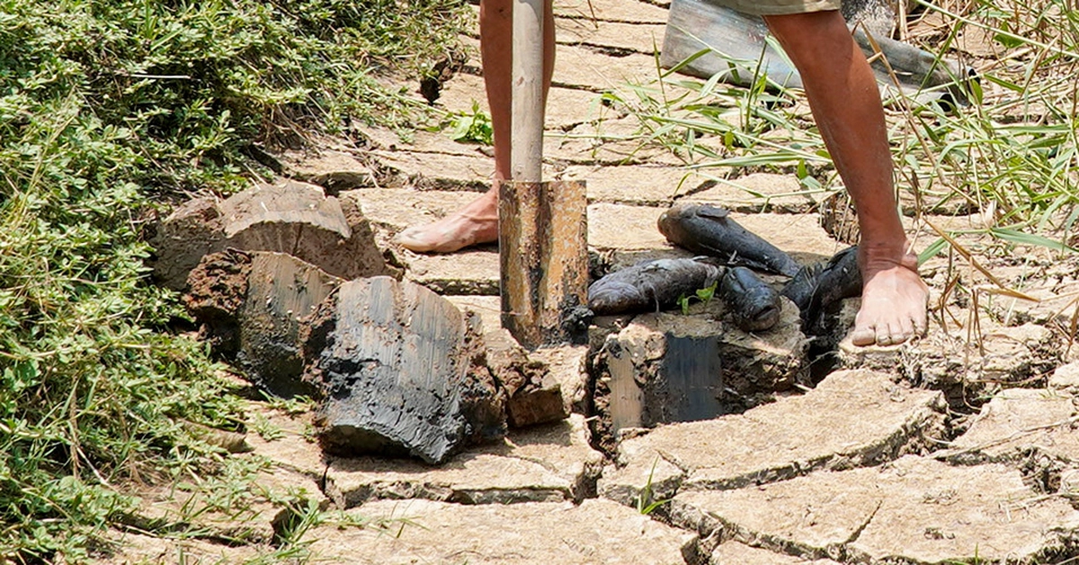 Cà Mau ra hạn cuối bồi thường cho người dân ảnh hưởng từ việc nâng cấp Cảng hàng không Cà Mau