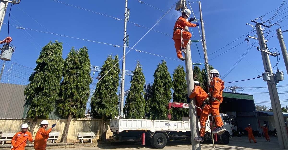 Công ty Điện lực Khánh Hòa huấn luyện định kỳ an toàn điện