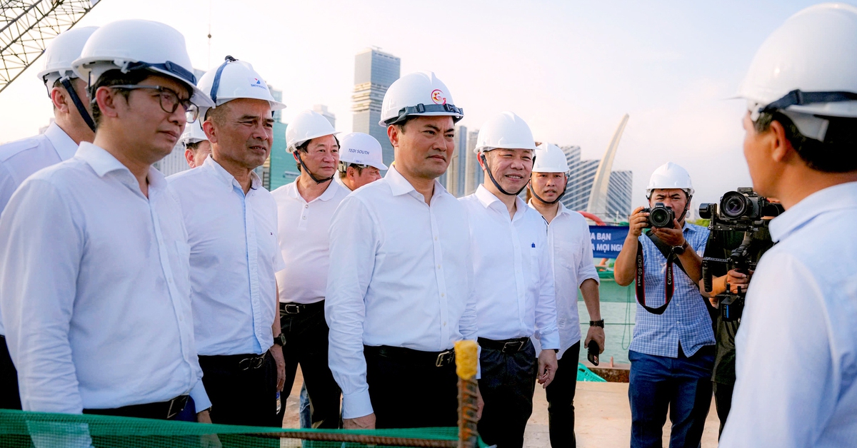 Cầu đi bộ qua sông Sài Gòn thành hình, sắp lai dắt vòm thép hình tượng lá dừa nước về lắp dựng