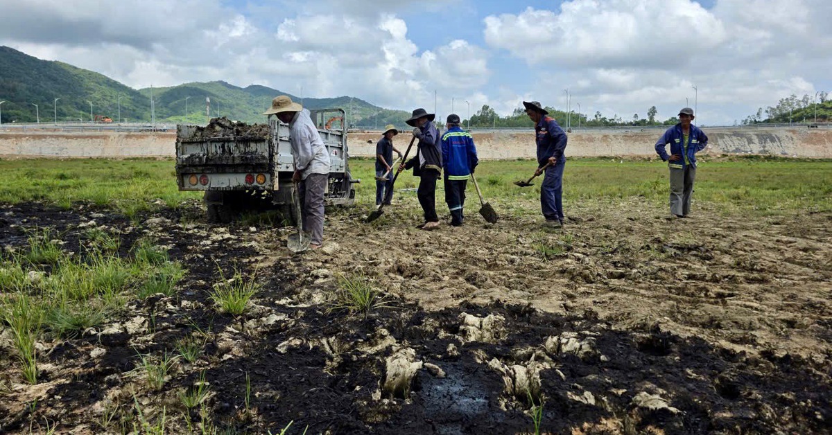 Bắt đầu xử lý dầu nhớt tràn đồng ruộng sát cao tốc Chí Thạnh - Vân Phong
