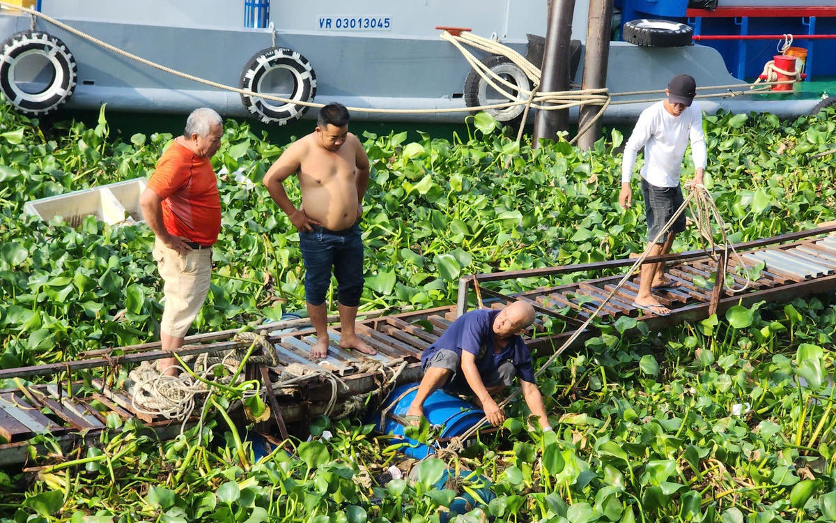 Người dân đi tập thể dục phát hiện thi thể trôi trên sông Tiền