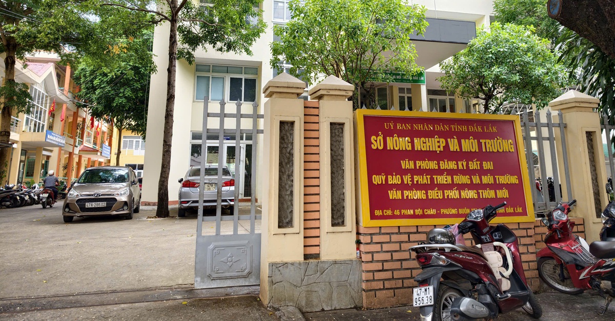 Vừa tuyển hơn 100 viên chức, Văn phòng đăng ký đất đai Đắk Lắk tuyển thêm 30 nhân sự hợp đồng