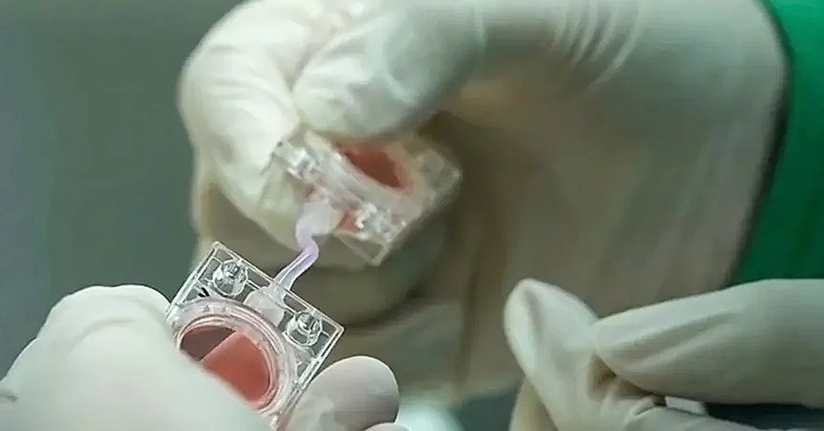 Trung Quốc đưa 'phôi nhân tạo' lên vũ trụ, nghiên cứu việc sinh con ngoài Trái đất