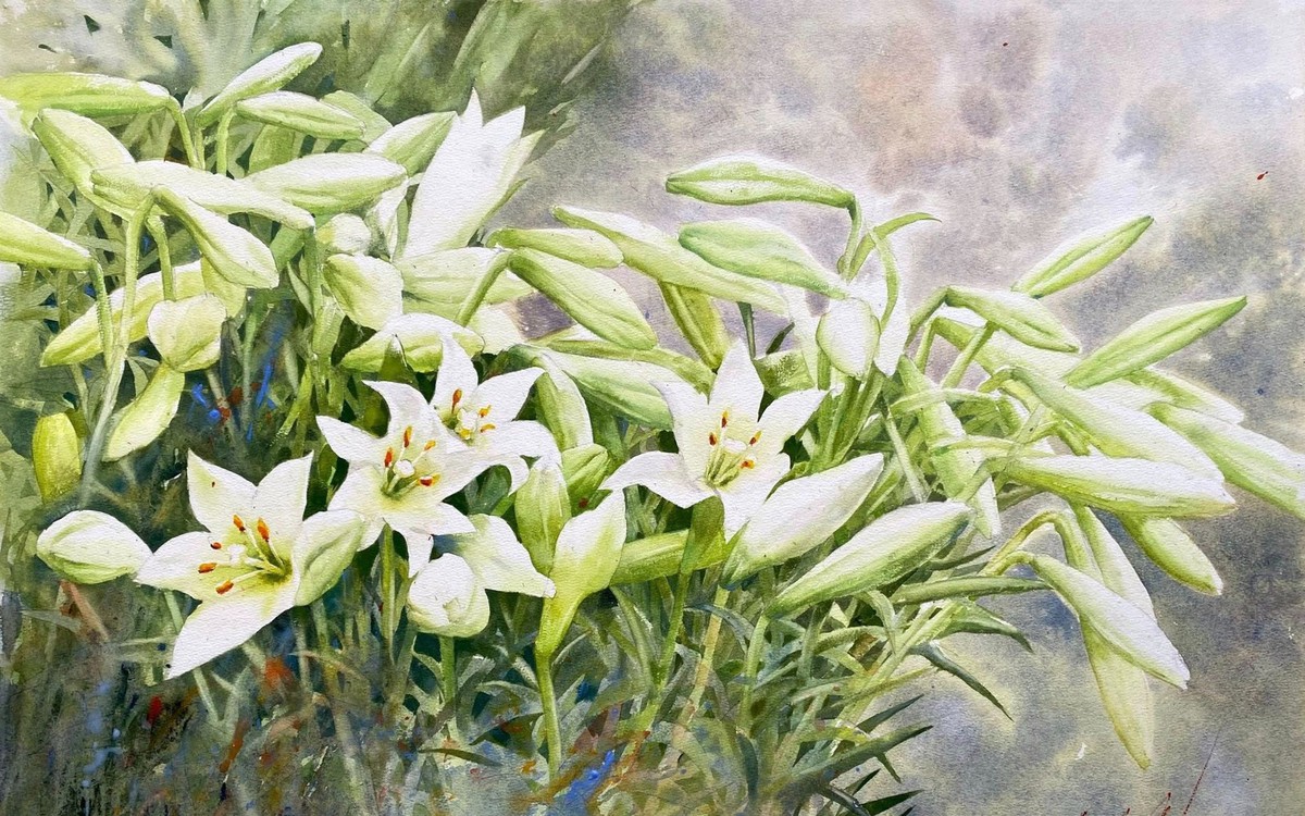 Từ biển khơi mênh mông tới phố thị quyến rũ, loa kèn tháng tư và tâm tưởng con người