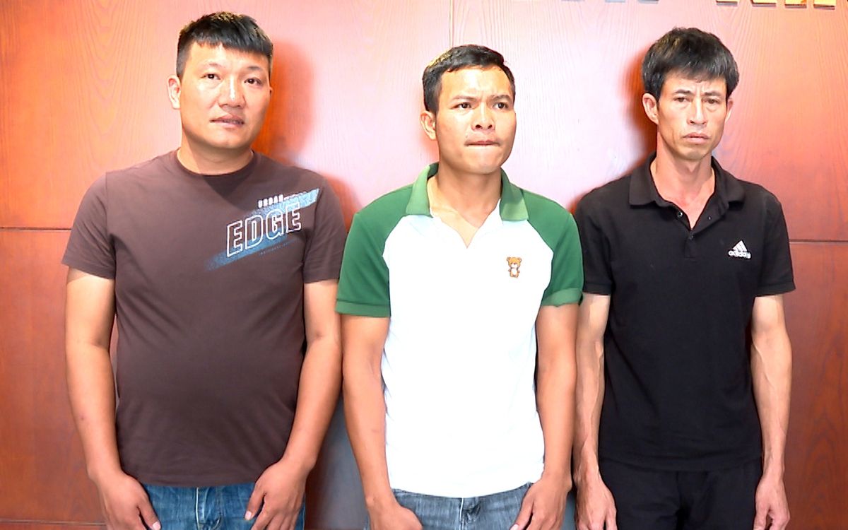 Khởi tố 3 người mua bán, giết mổ heo bệnh tả châu Phi bán ra thị trường