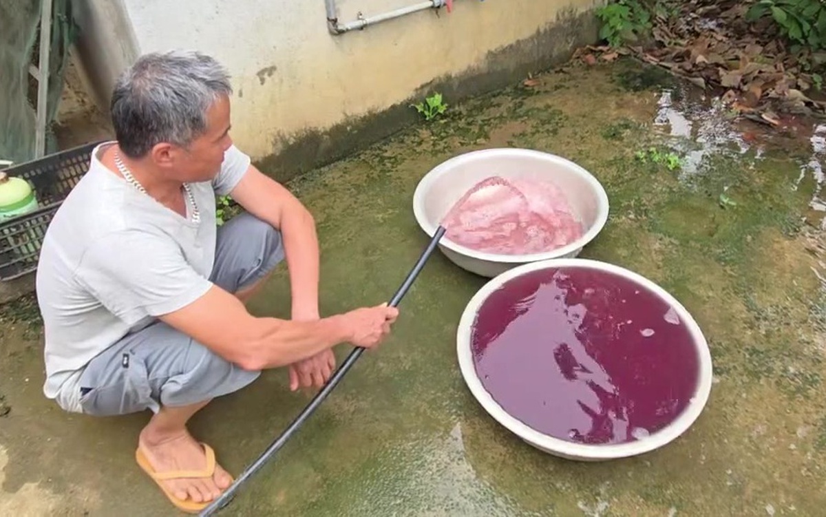 Vụ nước giếng đổi màu tím ở Thanh Hóa: Xử phạt doanh nghiệp hơn 1,5 tỉ đồng