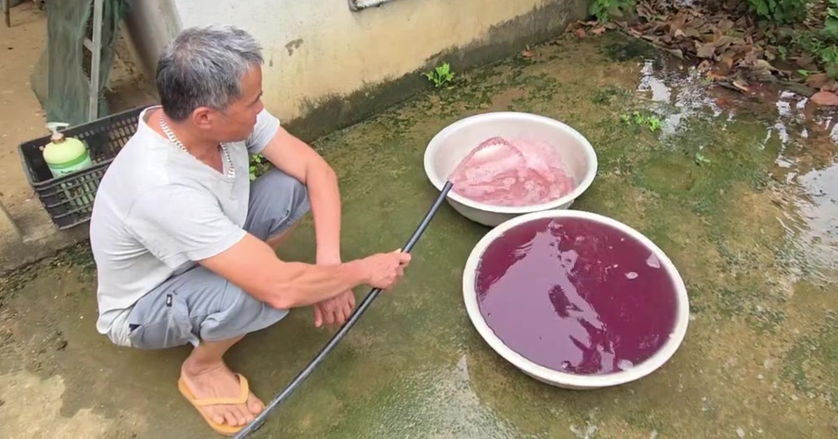 Vụ nước giếng đổi màu tím ở Thanh Hóa: Xử phạt doanh nghiệp hơn 1,5 tỉ đồng