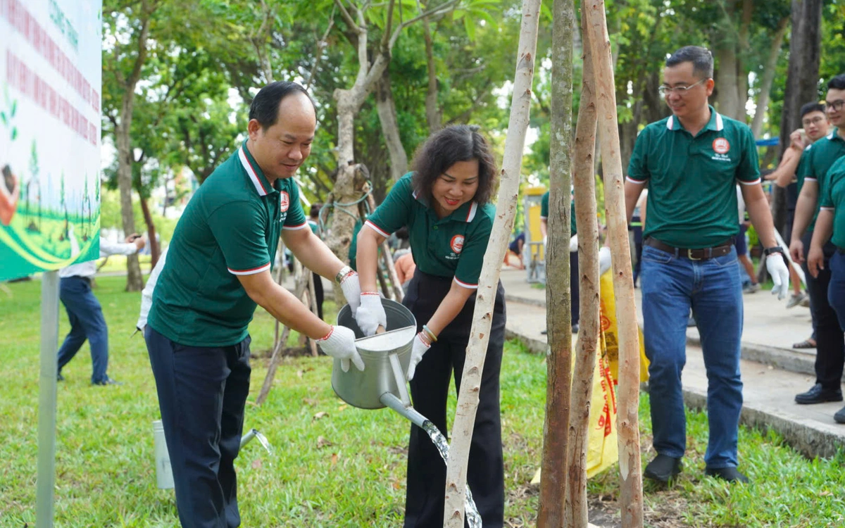 Trồng thêm cây xanh tại công viên Lê Văn Tám, vỉa hè đường Hoàng Sa dịp 50 năm TP.HCM mang tên Bác