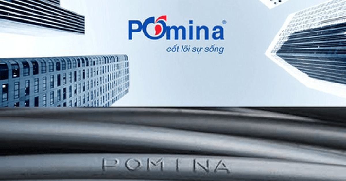 Báo cáo tài chính hé lộ "mối quan hệ" giữa Vingroup và Pomina