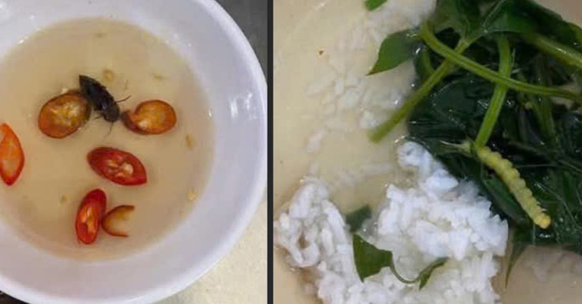 Xác minh thông tin thức ăn của sinh viên ở trung tâm giáo dục quốc phòng có dòi, gián và sâu