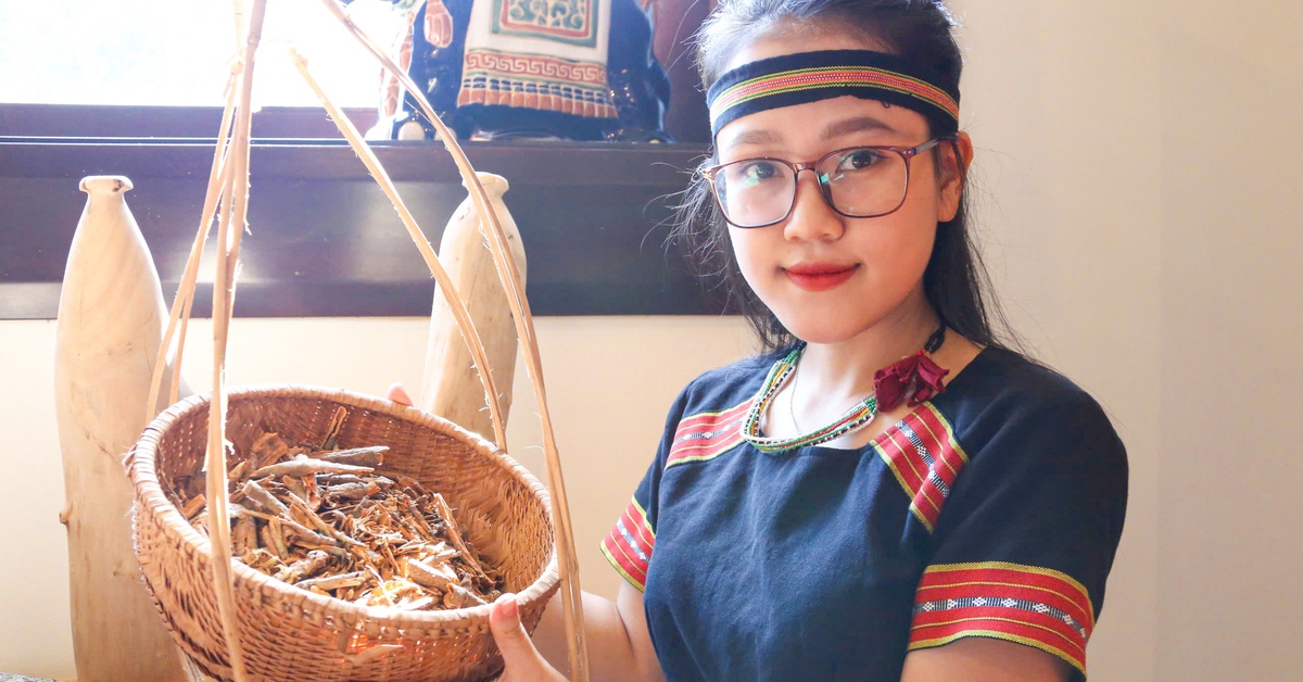 Đánh thức 'cao sơn ngọc quế' xứ Quảng