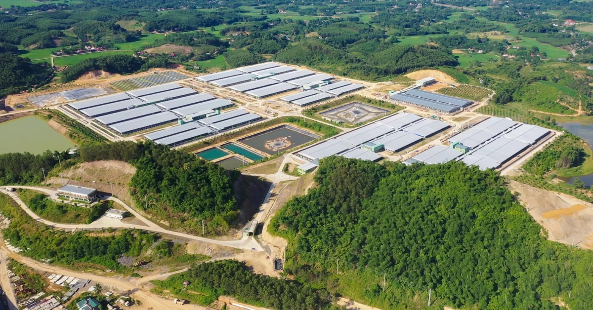 Tin tức sáng 20-5: Cen Land bầu nhân sự thay Shark Hưng; Phạt tập đoàn của đại gia Xuân Thiện