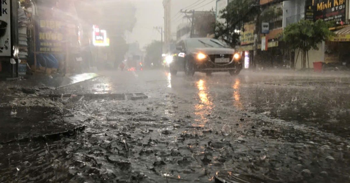 TP.HCM có 'mưa vàng' sau chuỗi ngày nắng khô người