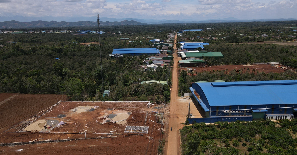 Kho sầu riêng mọc tràn lan ở Đắk Lắk, đường nông thôn quá tải