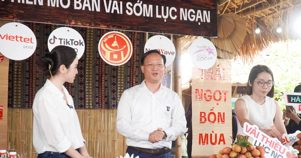 Phó chủ tịch tỉnh livestream bán vải thiều sớm, 'mát tay' chốt đơn hơn 31 tấn