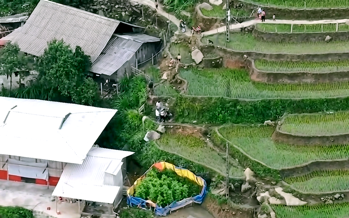 Hơn 100 công an băng rừng, dùng flycam theo dõi, bắt ổ nhóm ma túy hoạt động kiểu dòng họ