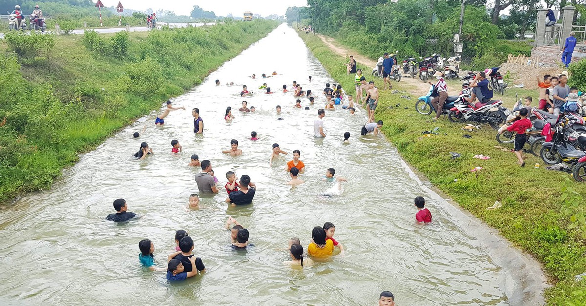 Nông dân gặt lúa đêm trốn nắng, người dân đổ ra kênh 'giải nhiệt