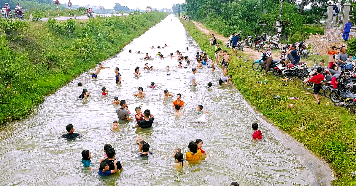 Nông dân gặt lúa đêm trốn nắng, người dân đổ ra kênh 'giải nhiệt'