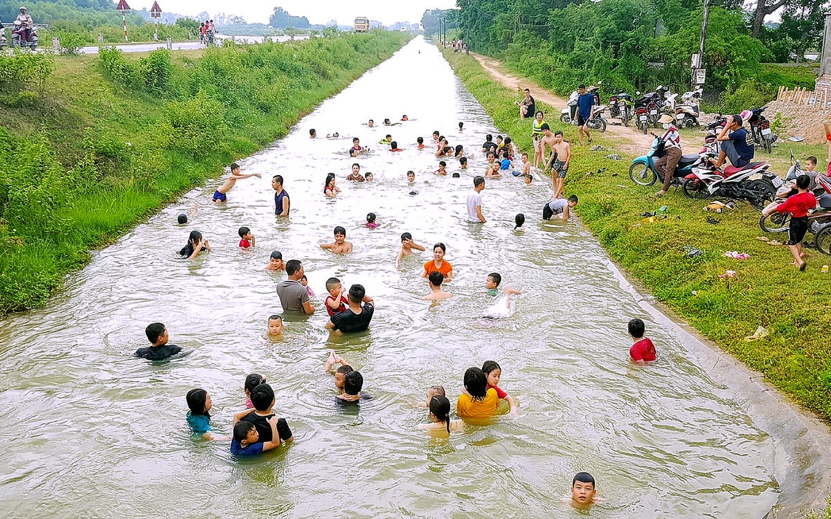 Nông dân gặt lúa đêm trốn nắng, người dân đổ ra kênh 'giải nhiệt'