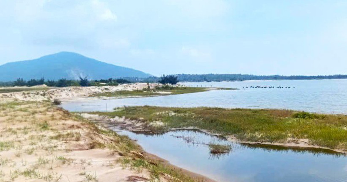 Hòa Phát muốn bắt tay Thaco, Vinacomin... làm mỏ sắt Thạch Khê