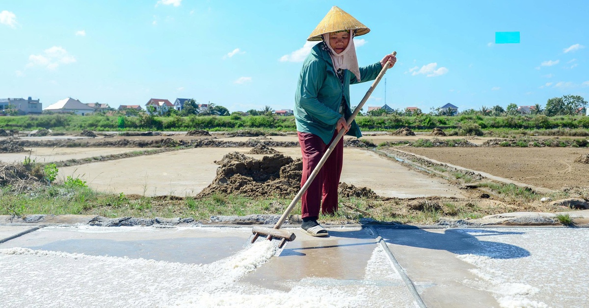 Mồ hôi mặn trên cánh đồng muối dưới chảo lửa 40 độ