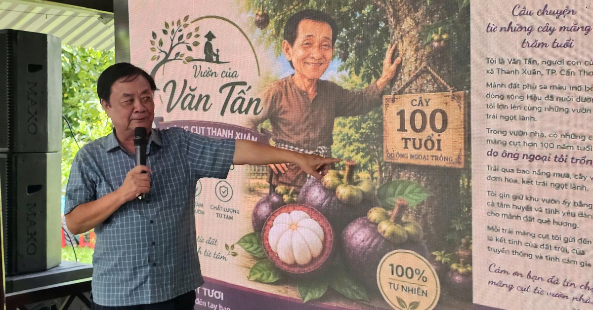 Ông Lê Minh Hoan chia sẻ việc bán măng cụt, 'bán' luôn người trồng măng cụt
