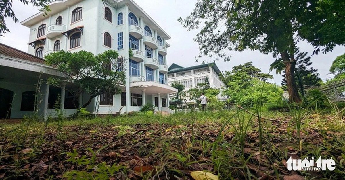 Lấn chiếm đất công, phản ánh đến đâu để được xử lý?