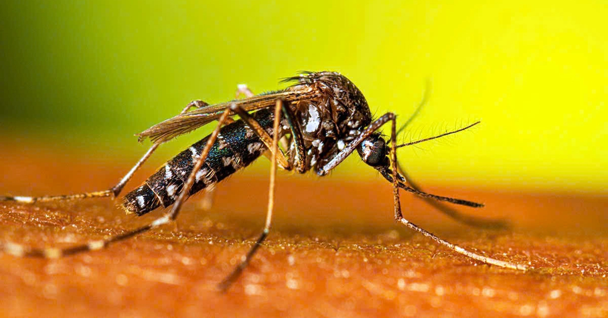 Chưa vào mùa cao điểm, Đồng Nai ghi nhận sốt xuất huyết Dengue gia tăng