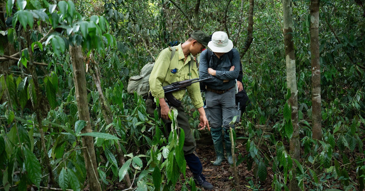 Tour lạ ở Cát Tiên: Du khách theo kiểm lâm tuần tra, ngủ giữa rừng sâu