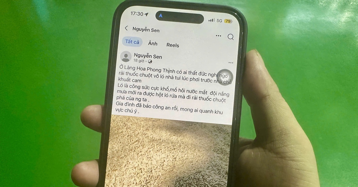 Công an điều tra vụ thóc của gia đình nông dân nghi bị đổ thuốc diệt chuột